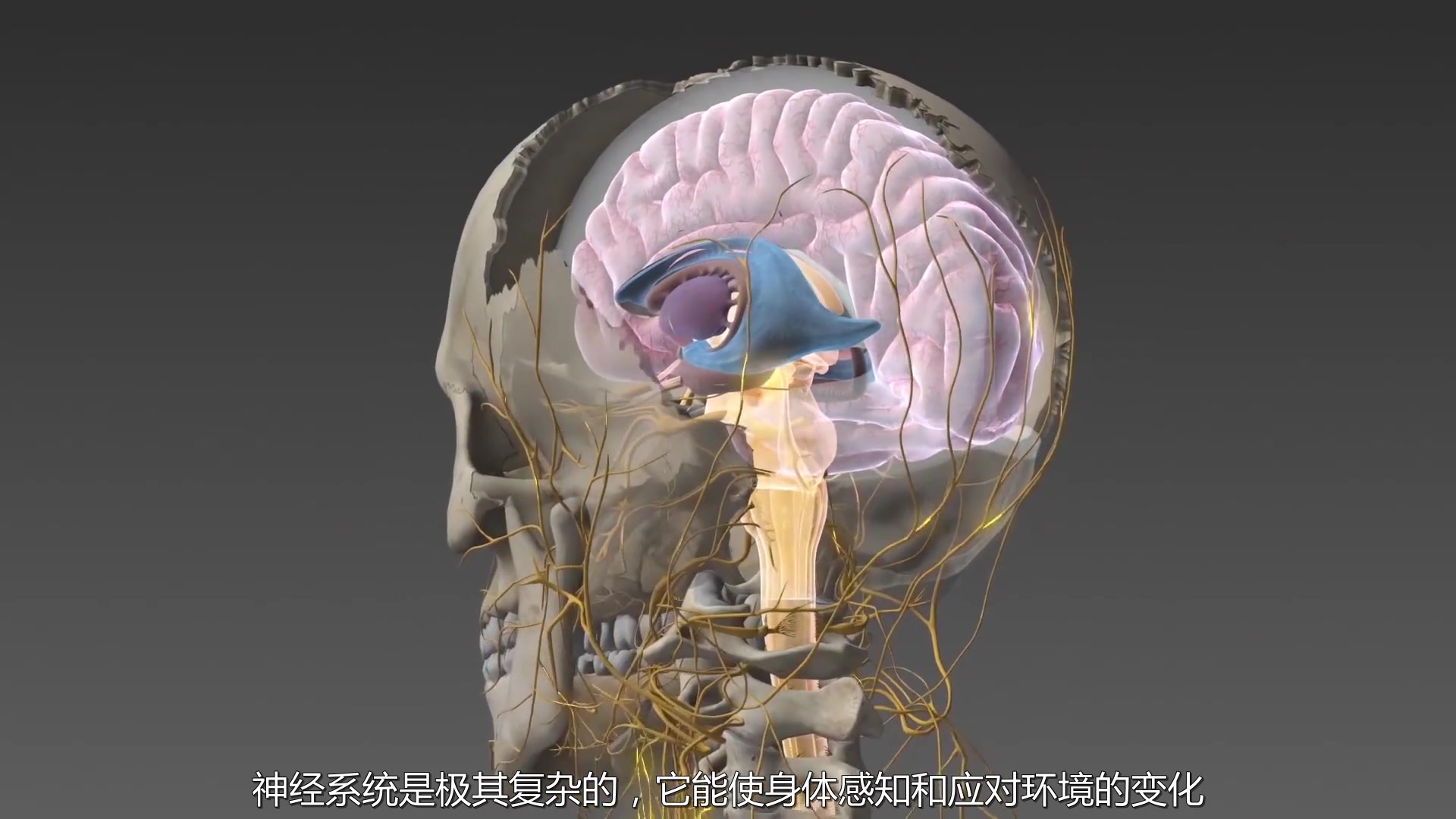 花了11亿美元，Google到底在买什么？：beat365(图1)